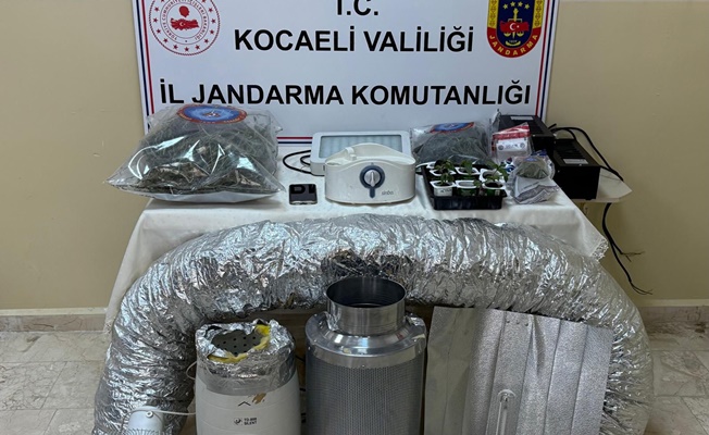 Kocaeli Jandarma'sından uyuşturucu operasyonu!